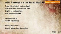 Max Reif - Wild Turkeys on the Road Near Home