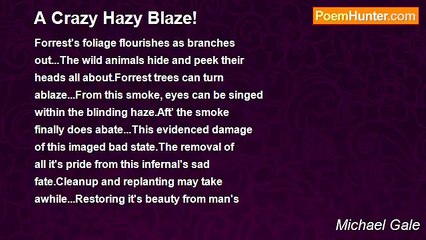Michael Gale - A Crazy Hazy Blaze!