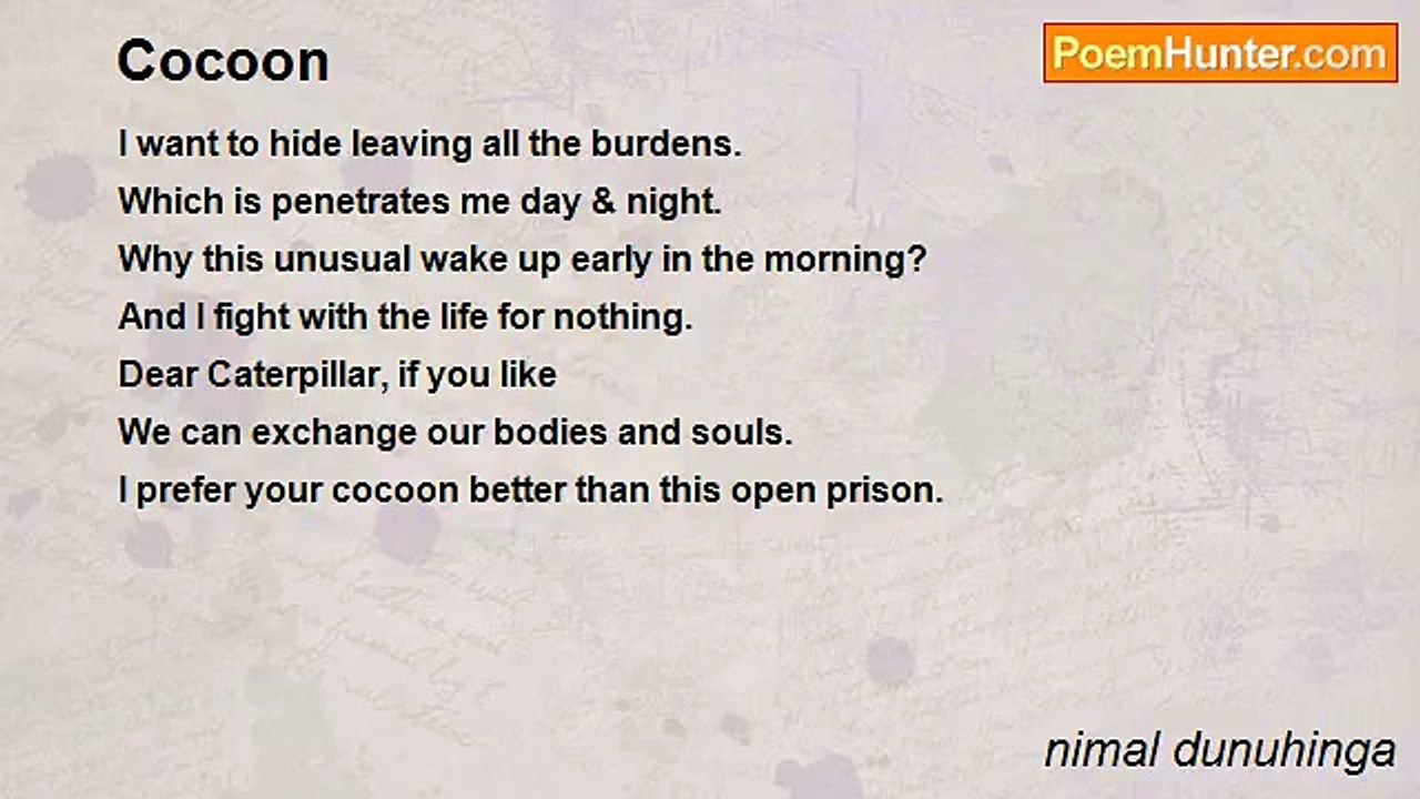 nimal dunuhinga - Cocoon