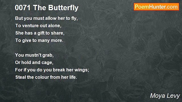 Moya Levy - 0071 The Butterfly