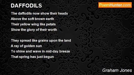 Graham Jones - DAFFODILS