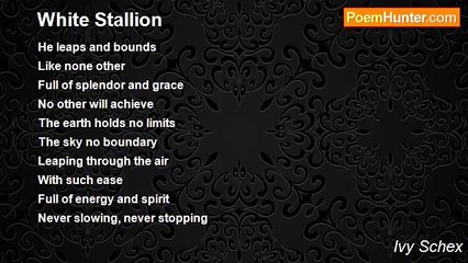 Ivy Schex - White Stallion