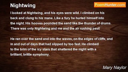 Mary Naylor - Nightwing