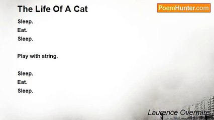 Laurence Overmire - The Life Of A Cat