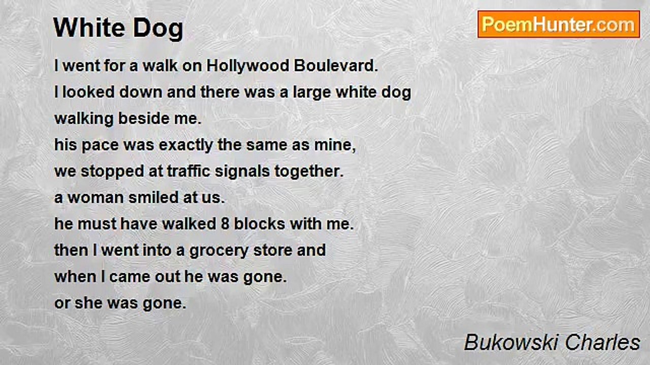 Bukowski Charles - White Dog