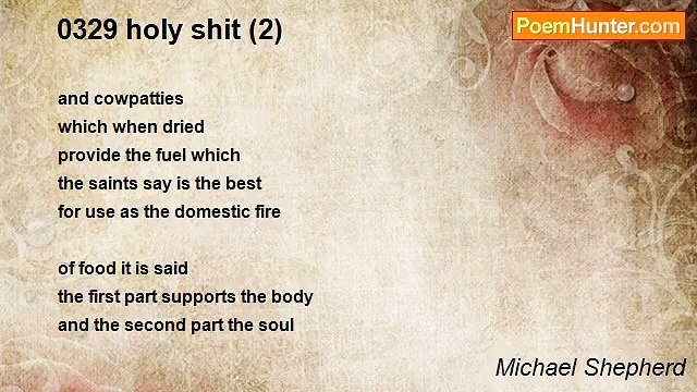 Michael Shepherd - 0329 holy shit (2)