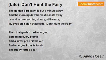 K. Jared Hosein - (Life)  Don't Hunt the Fairy