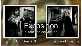 Exposition Galérie Médiart du 24 au 30 Novembre 2014 - Teaser - Trailer