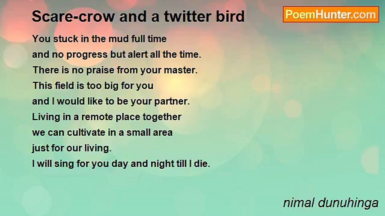 nimal dunuhinga - Scare-crow and a twitter bird