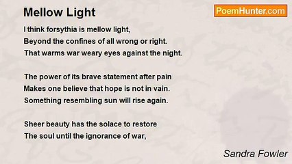 Sandra Fowler - Mellow Light