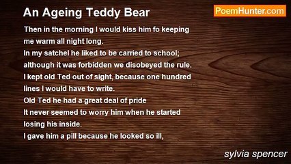sylvia spencer - An Ageing Teddy Bear