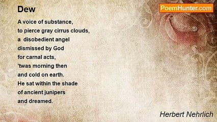 Herbert Nehrlich - Dew