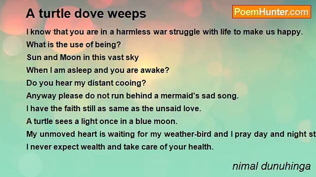 nimal dunuhinga - A turtle dove weeps