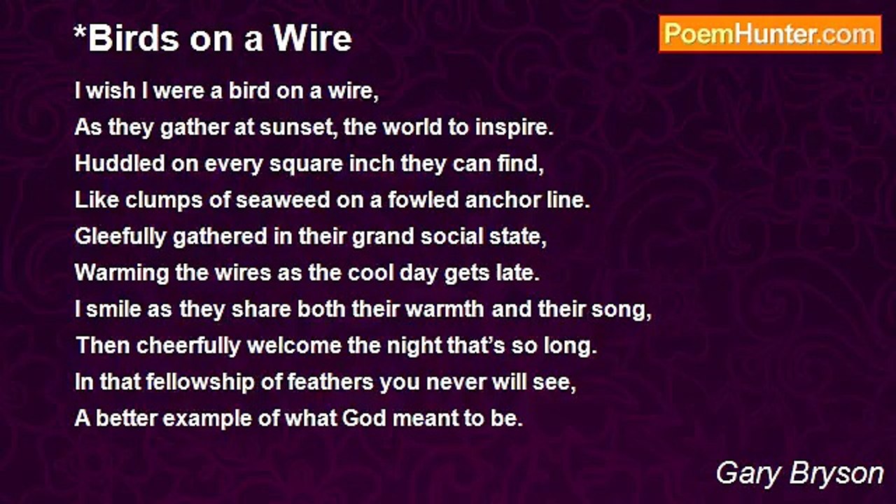 Gary Bryson - *Birds on a Wire