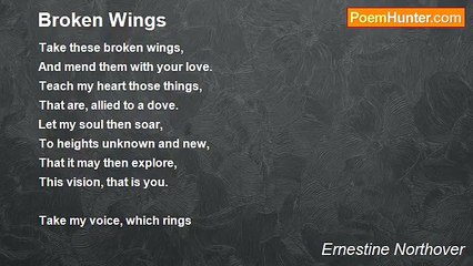 Ernestine Northover - Broken Wings