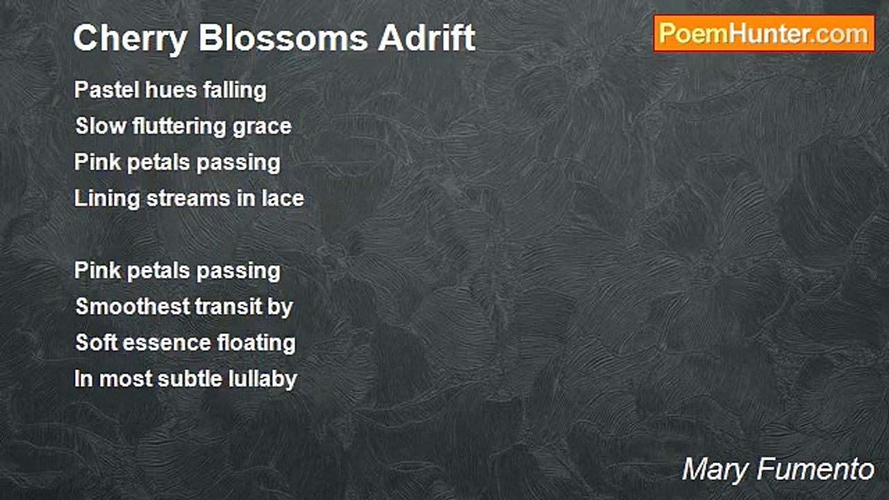 Mary Fumento - Cherry Blossoms Adrift