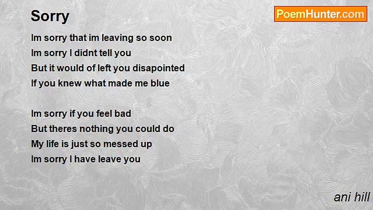 ani hill - Sorry