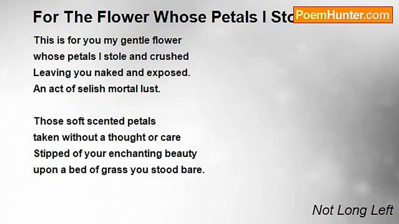 Not Long Left - For The Flower Whose Petals I Stole