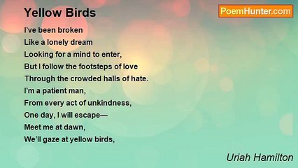 Uriah Hamilton - Yellow Birds