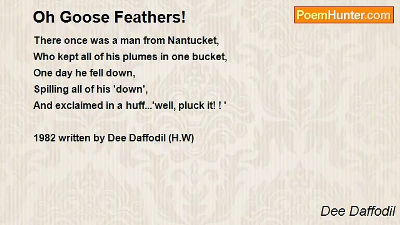 Dee Daffodil - Oh Goose Feathers!