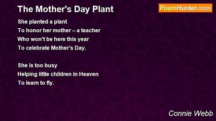 Connie Webb - The Mother's Day Plant