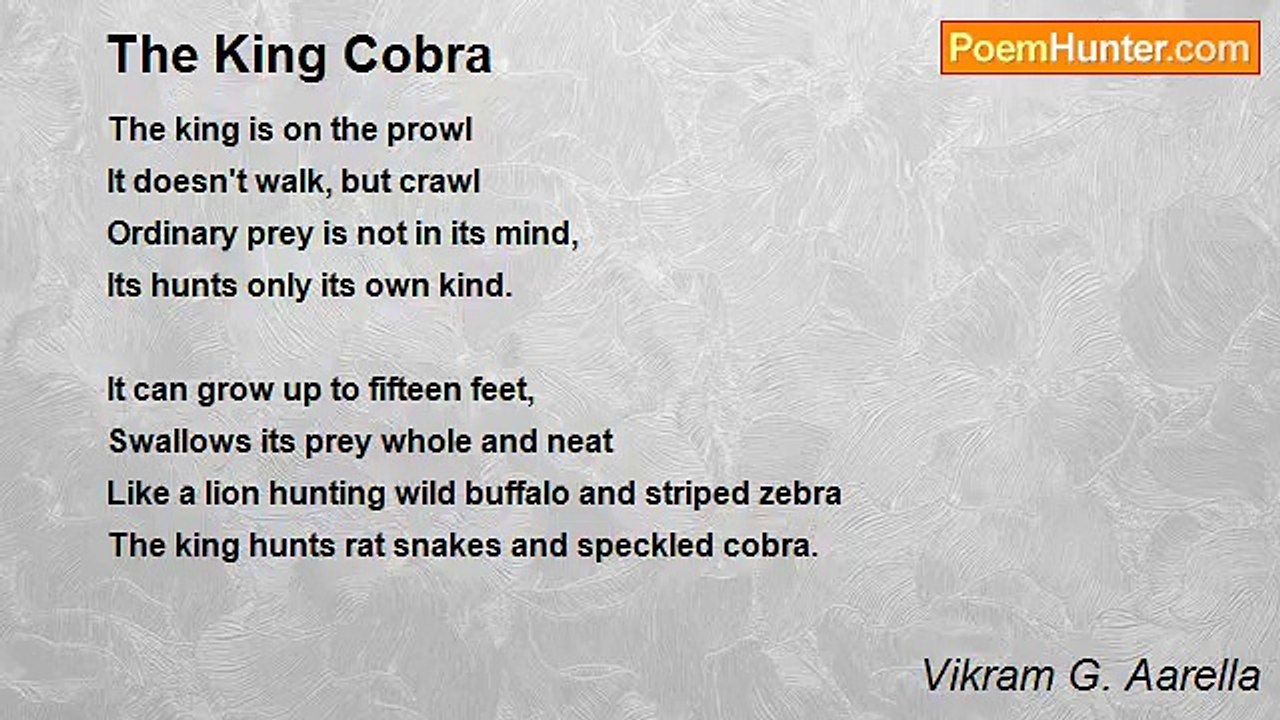 Vikram G. Aarella - The King Cobra