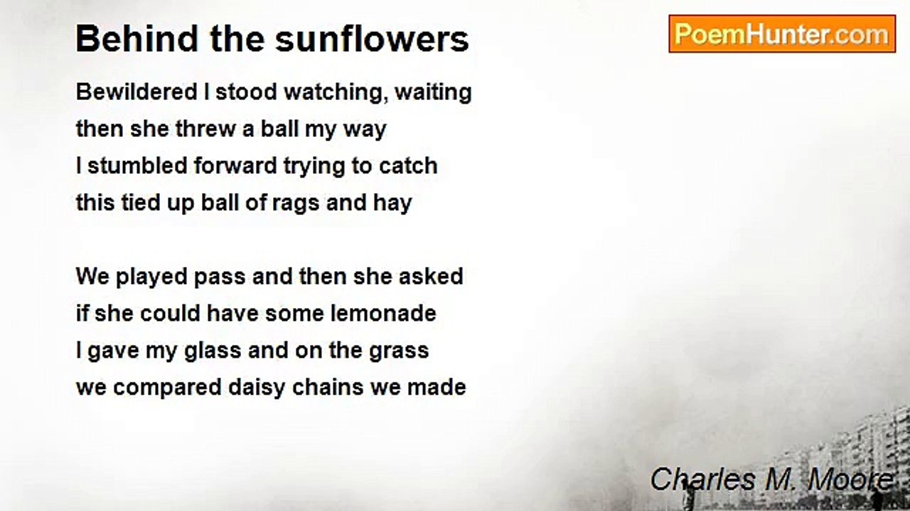 Charles M. Moore - Behind the sunflowers