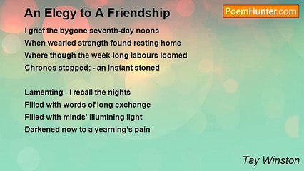 Tay Winston - An Elegy to A Friendship