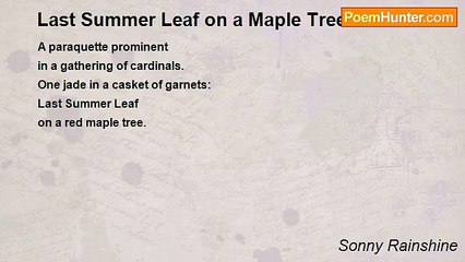 Sonny Rainshine - Last Summer Leaf on a Maple Tree