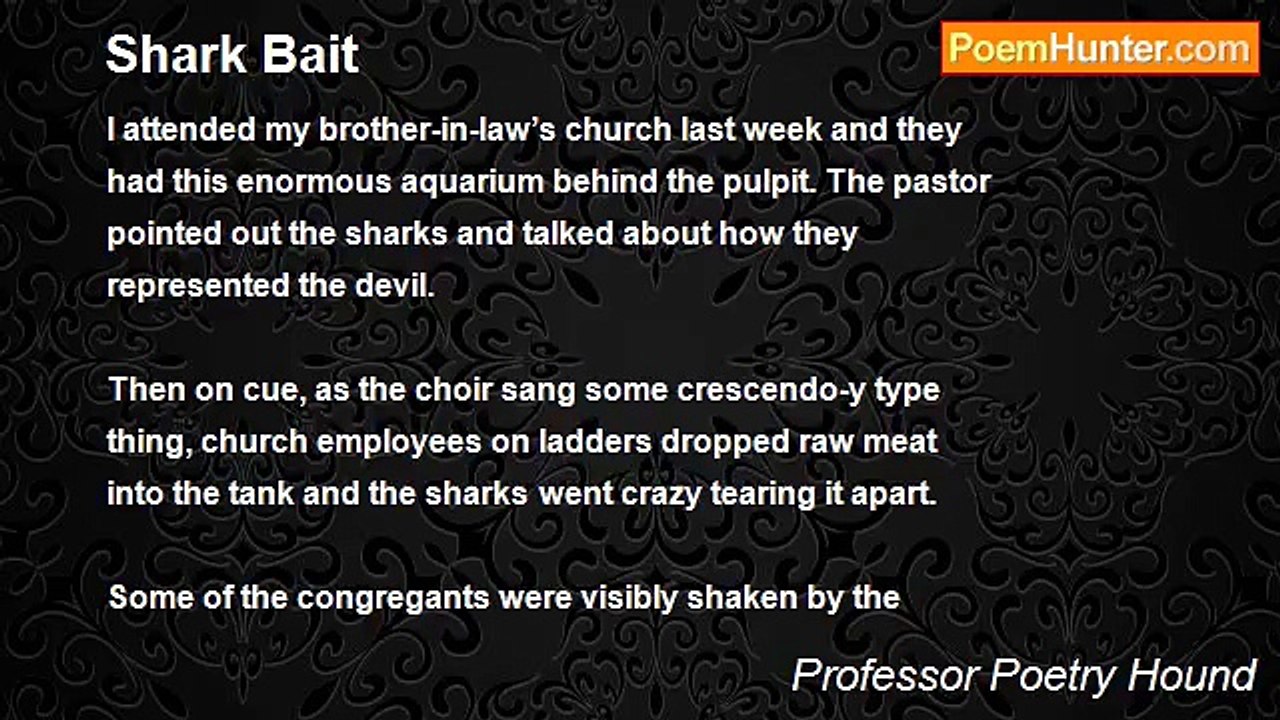Professor Poetry Hound - Shark Bait