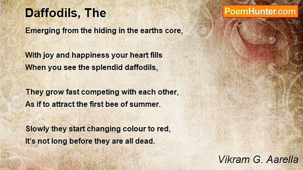 Vikram G. Aarella - Daffodils, The