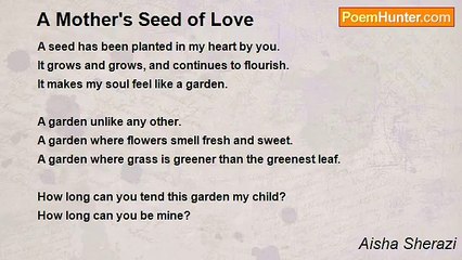 Aisha Sherazi - A Mother's Seed of Love