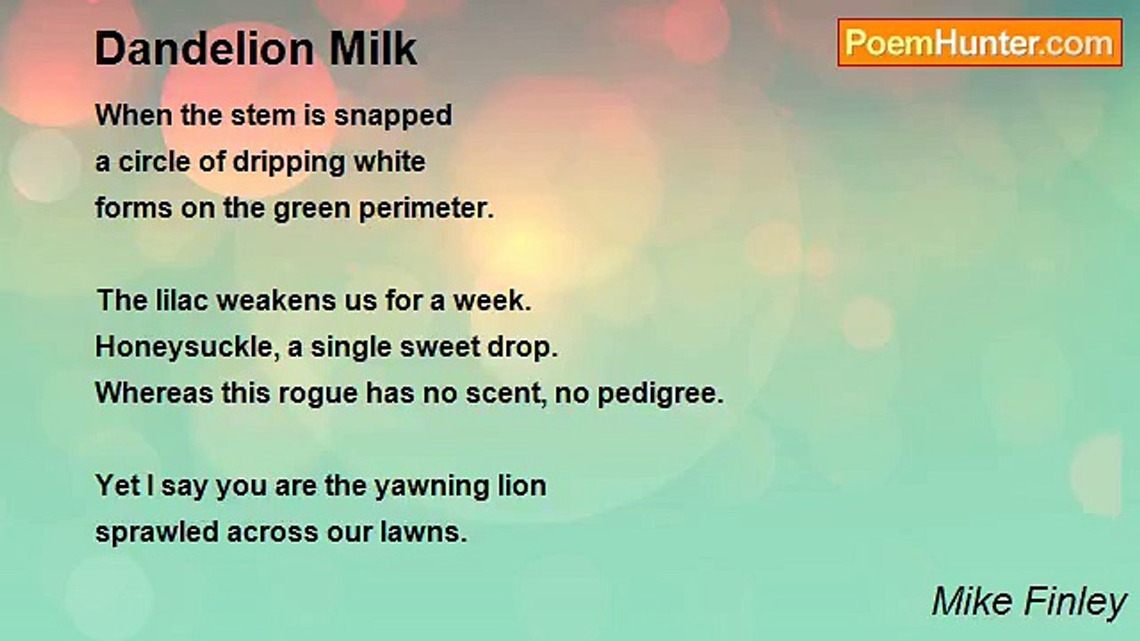 Mike Finley - Dandelion Milk