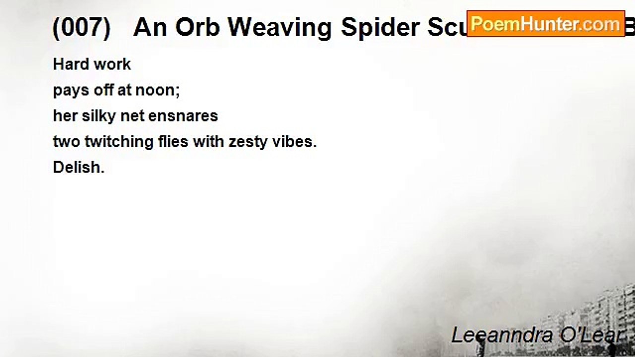 Leeanndra O'Lear - (007)   An Orb Weaving Spider Scurries Off To Brunch (Cinquain)