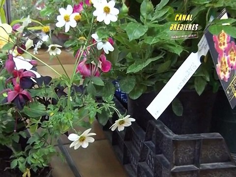 Concours des maisons fleuries