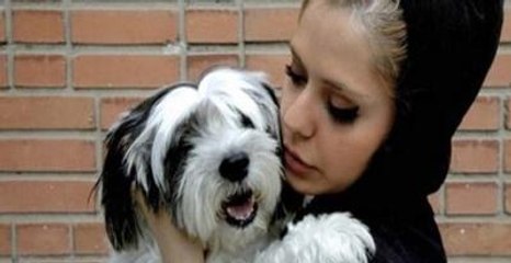 İran'da Köpek Beslemenin ve Gezdirmenin Cezası 72 Kırbaç