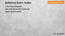 s./j. goldner - ballerina hues: haiku