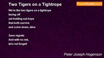 Peter Joseph Hogenson - Two Tigers on a Tightrope