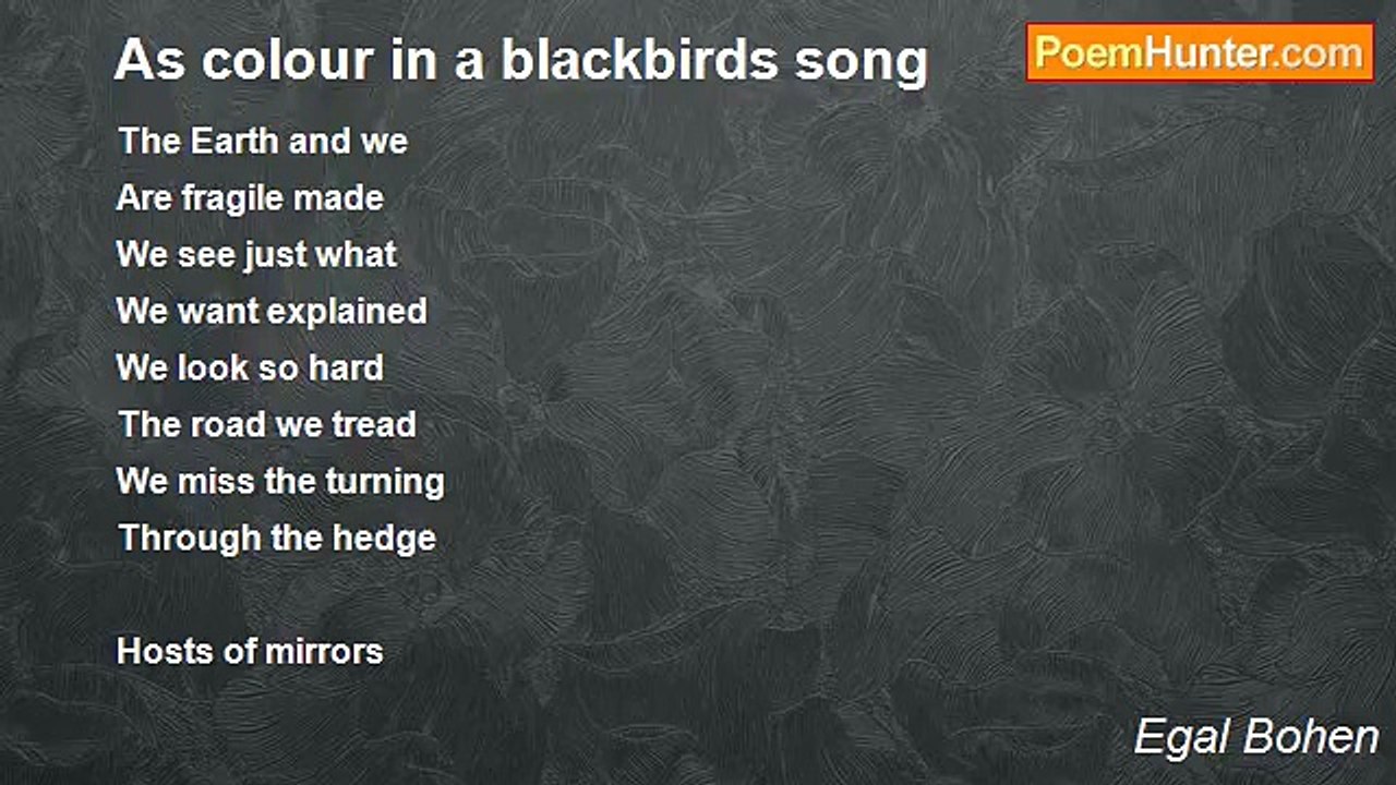 Egal Bohen - As colour in a blackbirds song
