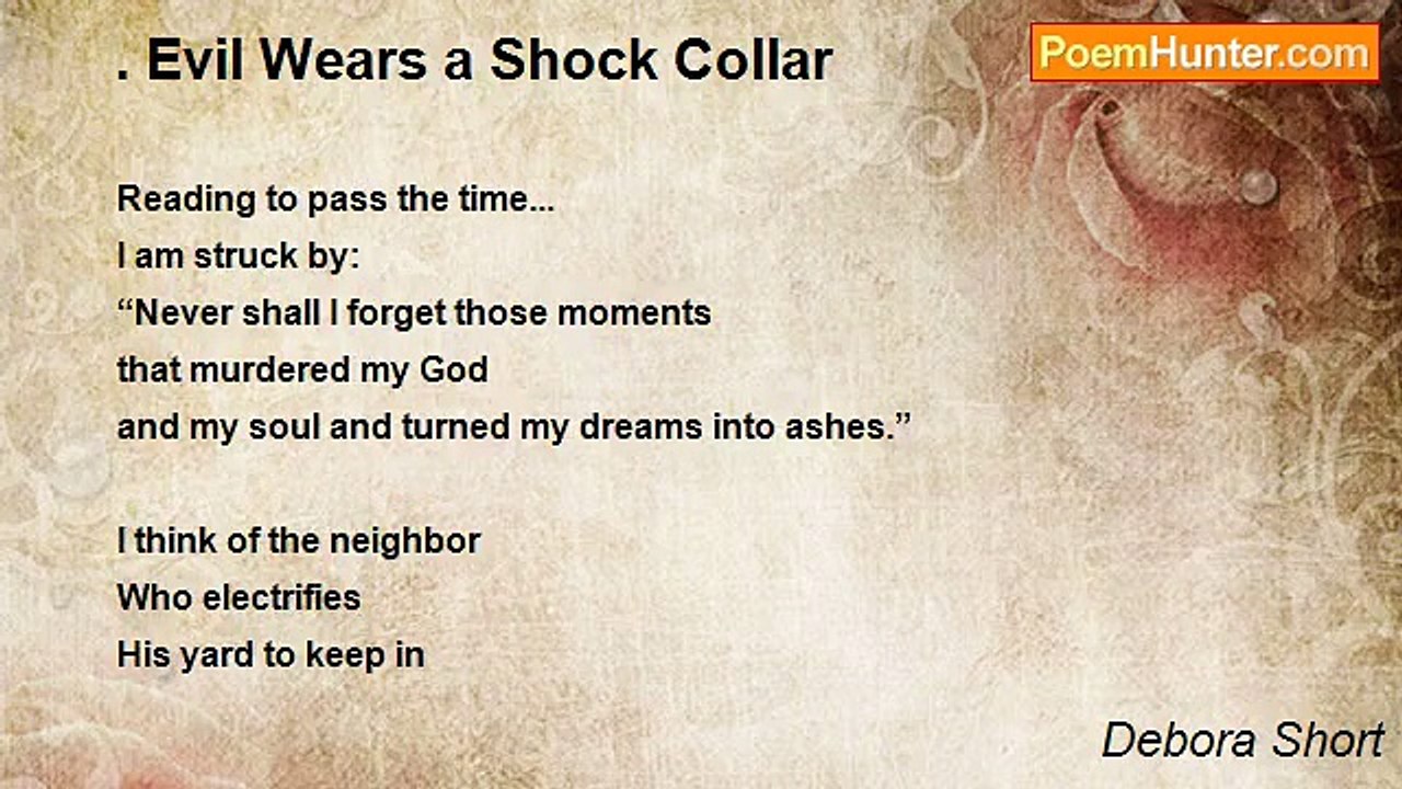 Debora Short - . Evil Wears a Shock Collar