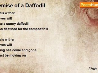 Dee Daffodil - Demise of a Daffodil