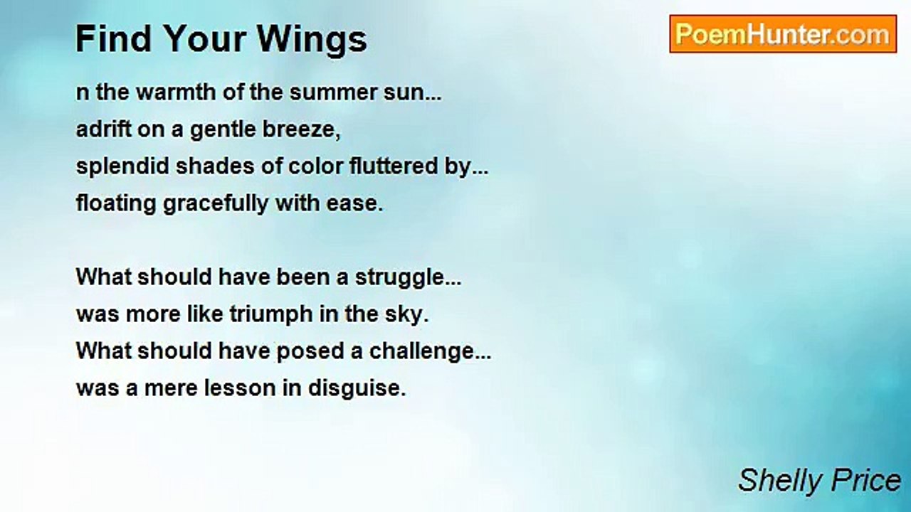 Shelly Price - Find Your Wings