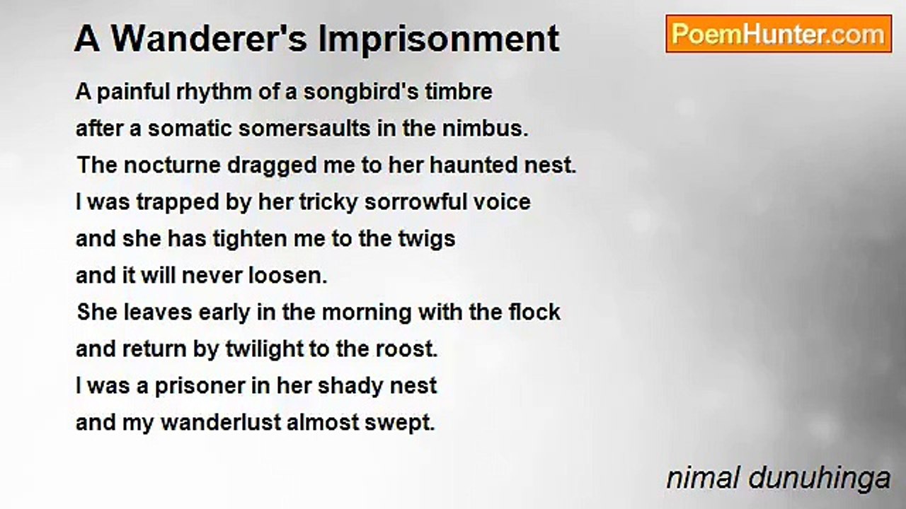 nimal dunuhinga - A Wanderer's Imprisonment