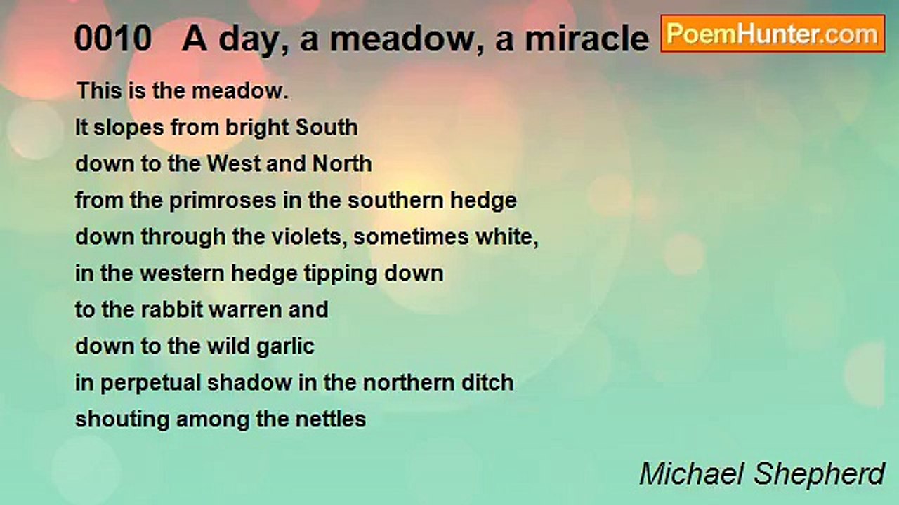 Michael Shepherd - 0010   A day, a meadow, a miracle