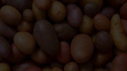 Archae-Facts Forbidden Potatoes?