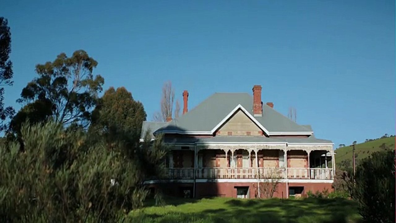 The Pack    -    trailer