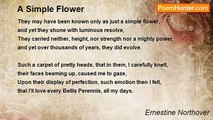 Ernestine Northover - A Simple Flower