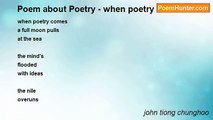 john tiong chunghoo - Poem about Poetry - when poetry comes