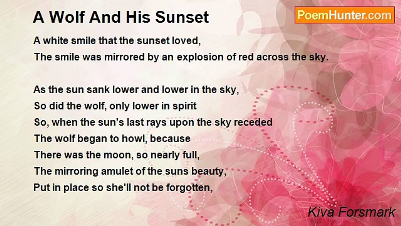 Kaydee Forsmark - A Wolf And His Sunset