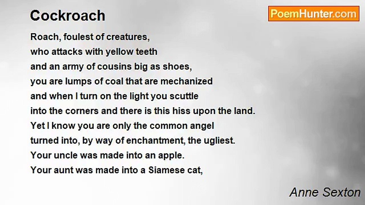 Anne Sexton - Cockroach